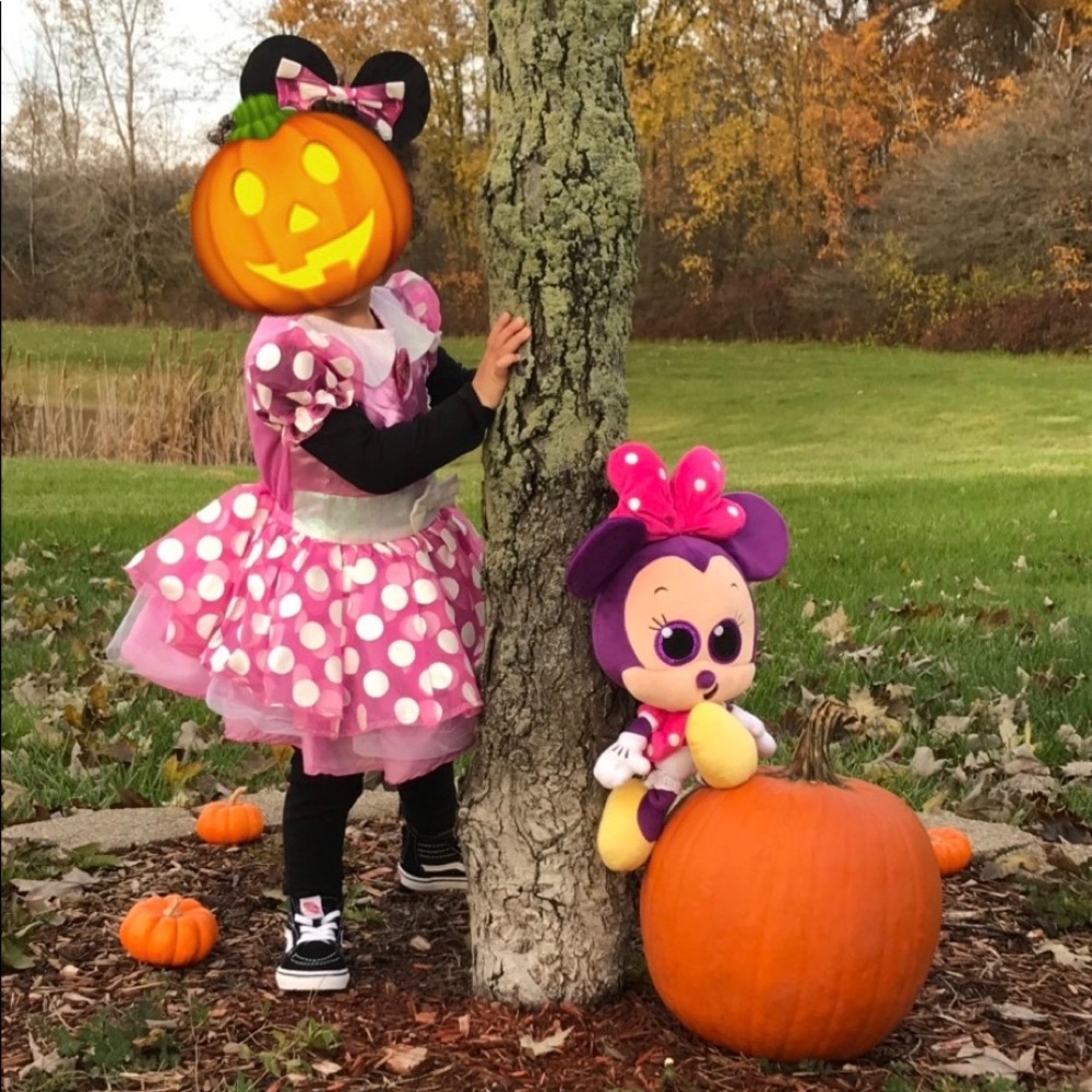 2T Minnie Mouse Costume